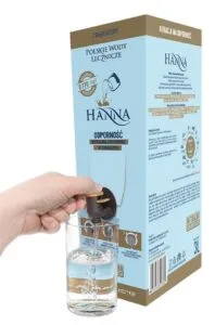 Hanna karton 3 L