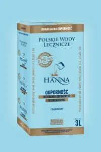 Hanna karton 3 L