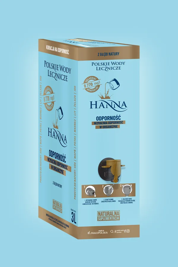 Hanna karton 3 L