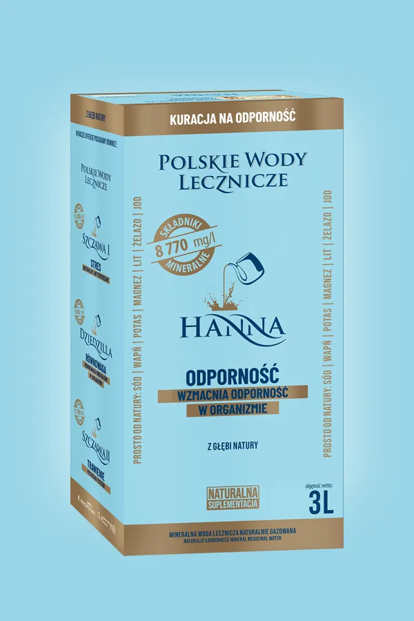 Hanna karton 3 L