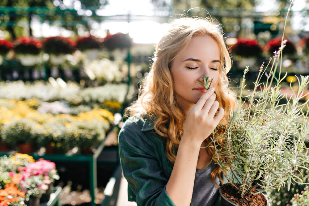 Zioła na zatoki: naturalne metody leczenia, które naprawdę działają